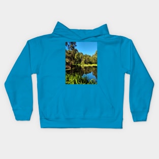 Faskally Forest, Scotland Kids Hoodie